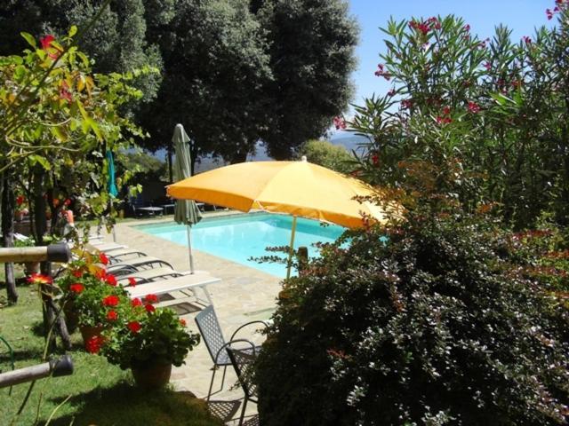 La Morosa Hostal Castel Rigone Exterior foto
